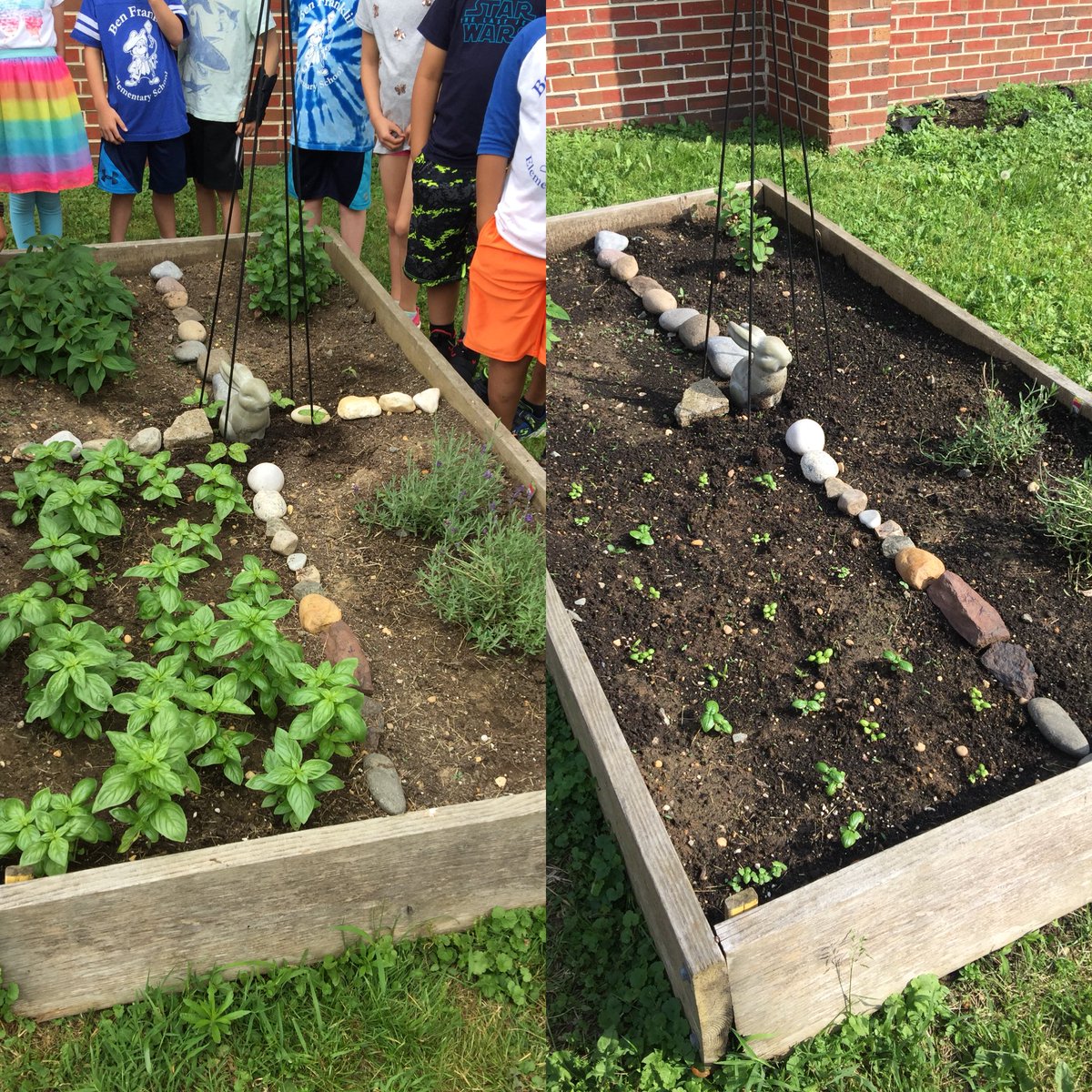 Elizabeth Seipp tweet media