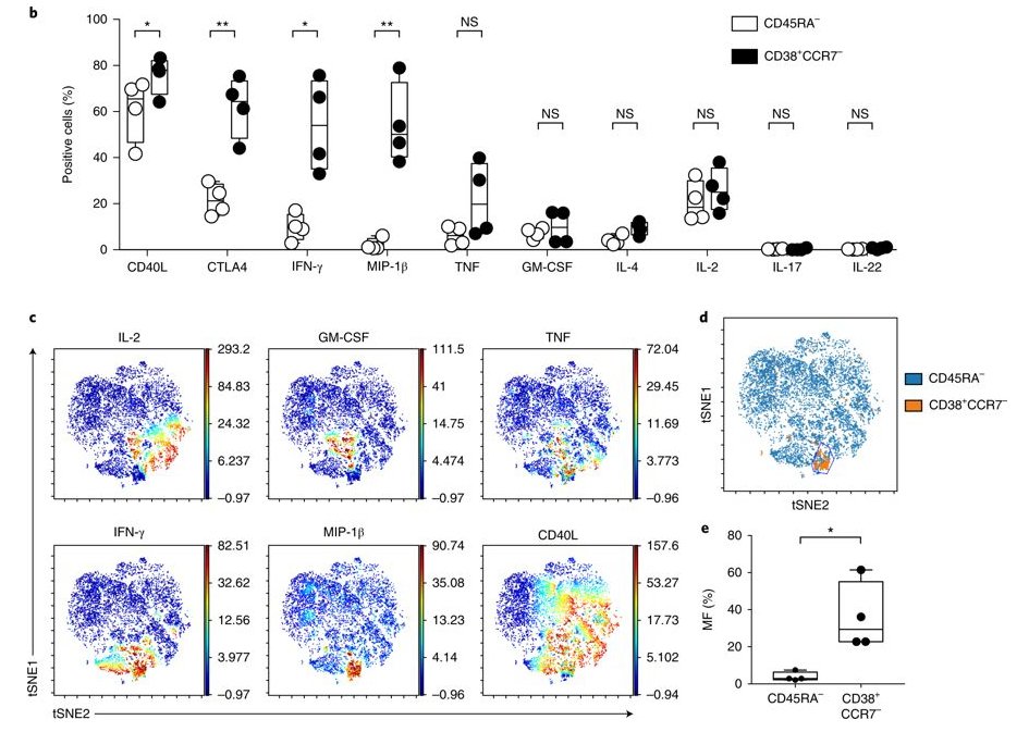mmw_lmw's tweet photo. #ClonalAnalysis of #SalmonellaSpecific Effector CD4 T cells | Expansion of CrossReactive CD38+CCR7- CD4 T cells | Giorgio Napolitani @UniofOxford @NatImmunol https://t.co/2vpD3XZNGx https://t.co/MBrCD5Fg6A