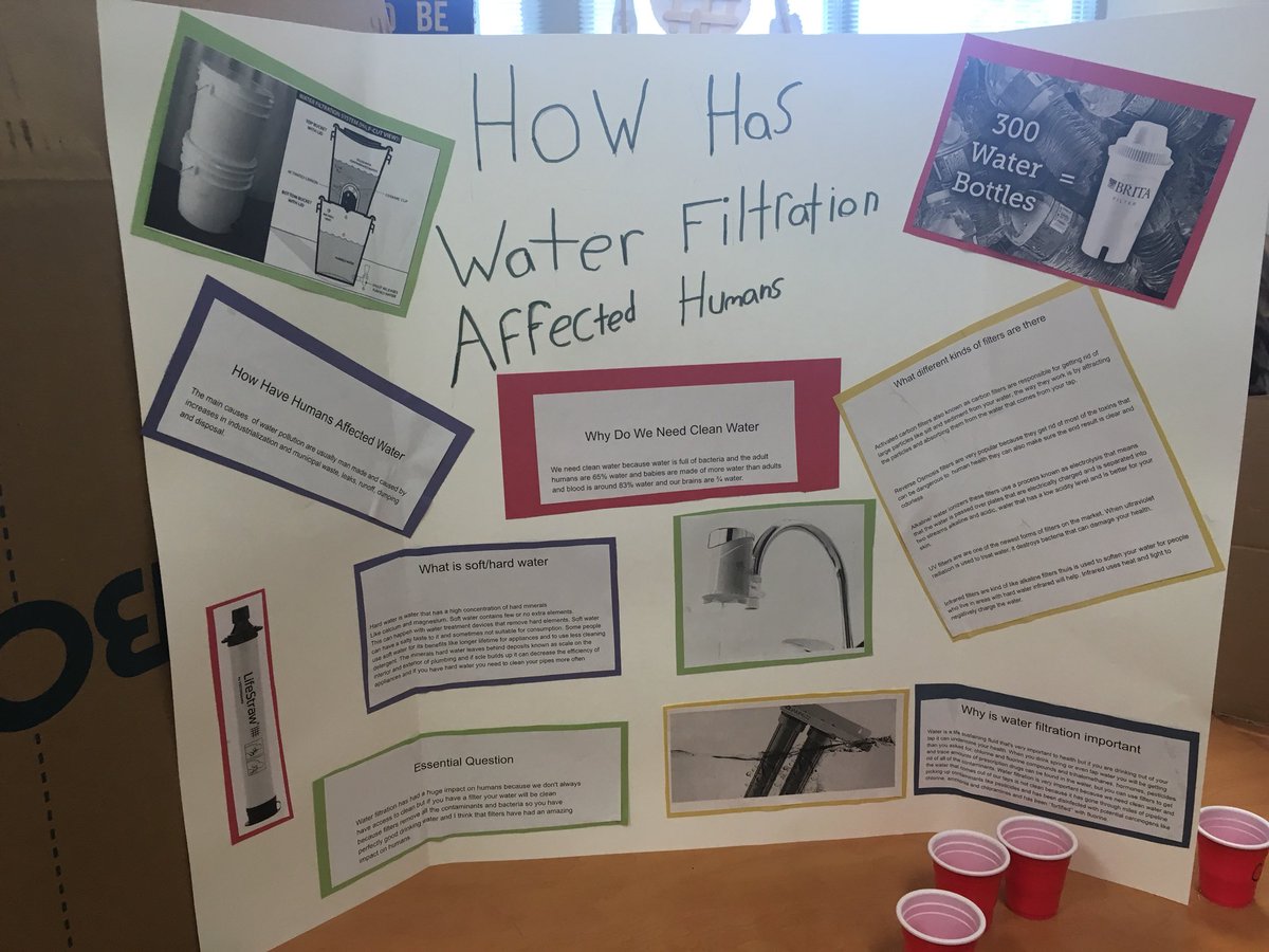 bostie8o's tweet photo. Grade 7 Final Science Inquiry Projects looking at how different aspects of science impact humans. Very proud of their hard work! @BloomSecondary @SD22Vernon @pbritton78 @HuizCor #sd22learns https://t.co/fzKkNqUjFf