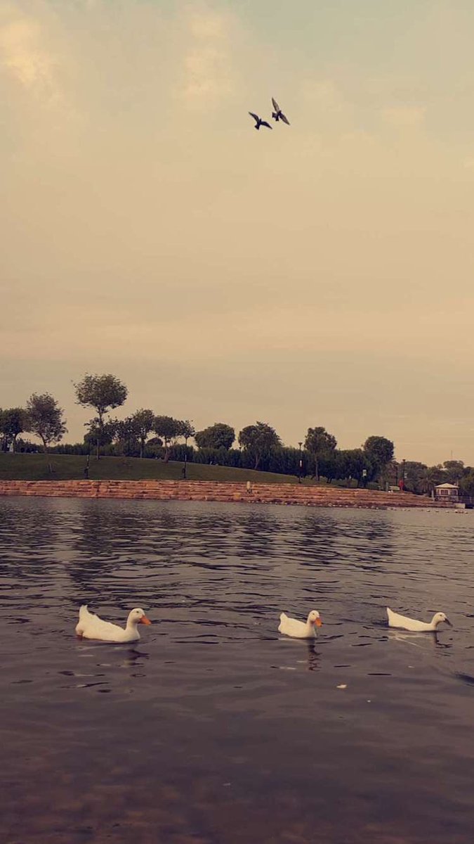M_llio's tweet photo. #افخم_صوره_من_الاستديو https://t.co/4DMHONg9GG