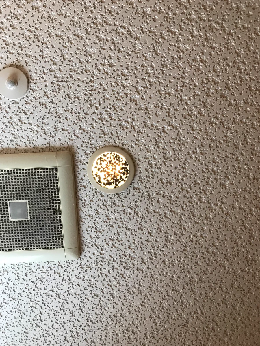 【虫・閲覧注意】こだわりのトイレ？　トイレにつけられたお洒落な照明の正体がヤバすぎたｗｗｗ