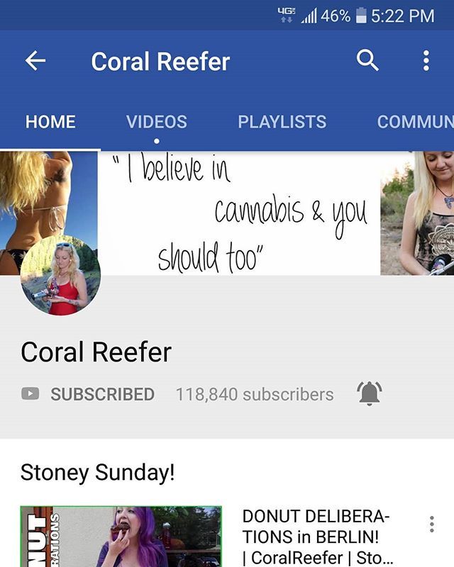 ronwhom's tweet photo. Your channel is back on YouTube! #worldreefers https://t.co/q2GbzWibJM https://t.co/5Vxqcsklxe