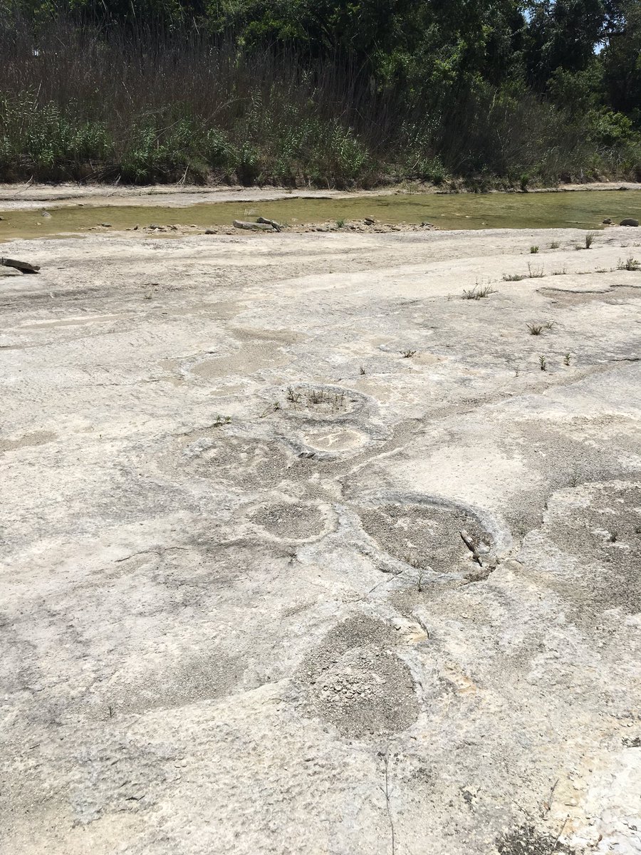 MrsMata_NBCT's tweet photo. Day 5 of #UTSA #MSEIP science teacher training ended with a field trip to Browning Ranch, Perdernales River, &amp; Blanco River! #fossilhunting #TXscience @freysci #JSmules @AlamoHeightsJS @AHISD @AHSFoundation https://t.co/XiISMlNzt6