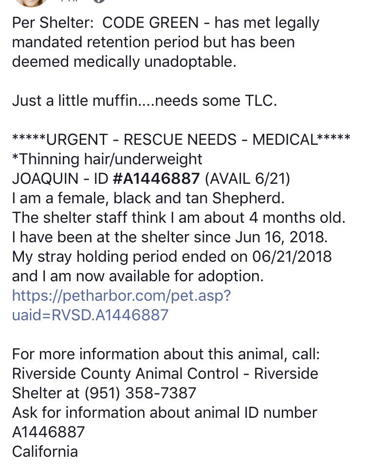 #CA #RIVERSIDE
🆘🆘UNDERWEIGHT/MALNOURISHED &amp; JUST 4mo!💔 Joaquin 4mo #GSD #puppy needs immediate medical #RESCUE #FOSTER &amp; #PLEDGES This is just a baby!💔 Pls pls help🙏🏻
facebook.com/10000238707197…