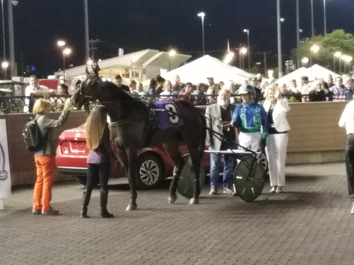 2015 Hambo champ Pinkman (Andy McCarthy) won tonight, his first win at The Meadowlands since that classic triumph nearly 3 years ago.