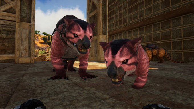 Stoner Zsasz’s pics and videos