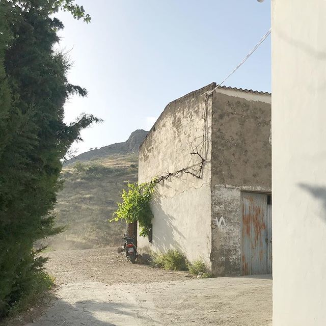 parlando's tweet photo. https://t.co/ILhxTIxc32 https://t.co/blt4FxlZB4
