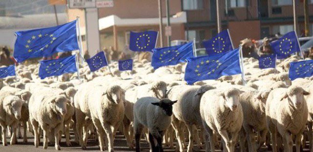 A_Liberty_Rebel's tweet photo. "We want another vote!
So we can vote to be ruled over by people whom we're not allowed to vote for" 
#PeoplesVoteMarch https://t.co/xDBWyHy24p