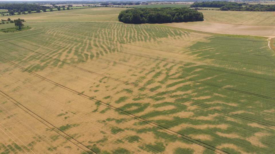 Amazing drought effect picture from Euston Estate Farms