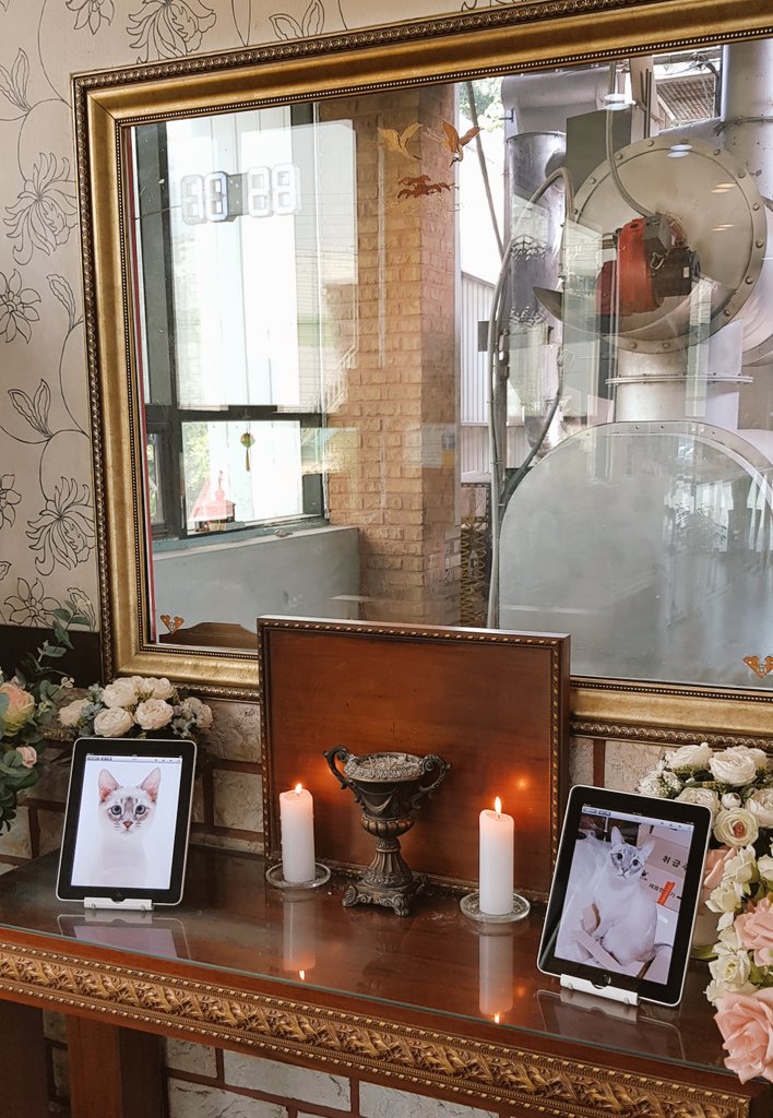 아이 이뻐해주셨던 분들께 늘 감사했어요 아이가 좋은 곳 갈 수 있게 아이 생각 한번 해주셨으면 좋겠어요 아이는 사람들에게 이쁨받는걸 좋아하는 애였어서 부탁드립니다.