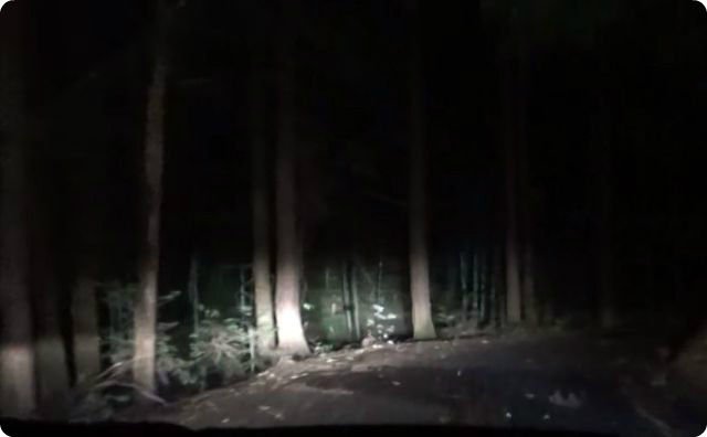 パラノーマルちゃんねる ゾッとする話 夜の山で ヤバい奴 見た これ怖すぎ パラノーマルちゃんねる 怖い話 怪談 不思議な話 オカルト 心霊 T Co Sioanjda84 T Co Niis8zyevm Twitter パラノーマルちゃんねる ゾッとする話 夜の山で ヤバい奴 見た これ怖すぎ パラノーマルちゃんねる 怖い話 怪談 不思議な話 オカルト 心霊 T Co Sioanjda84 T Co Niis8zyevm Twitter