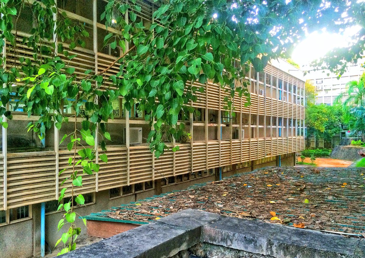 kingmolat's tweet photo. Envirocare. 
Location: Mdegree vimbwetani at University of Dar es Salaam
Photographer: #_blackShot 
@pichazasimu https://t.co/06qUA6XRth