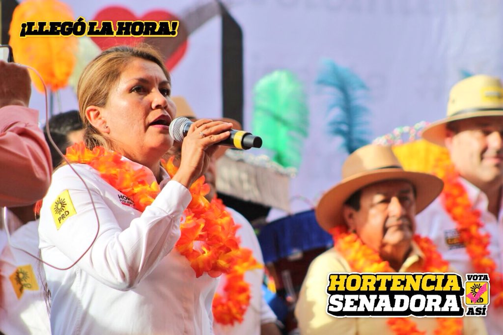 hortenciafp's tweet photo. En #Yautepec con #GayossoGobernador nos comprometimos a apoyar a las y los jóvenes estudiantes, incrementaremos la beca salario y gestionaremos la creación de la pensión para adultos mayores y así brindarles una vida digna a las personas de la tercera edad. 

#HortenciaSenadora https://t.co/0GPo43Q53m