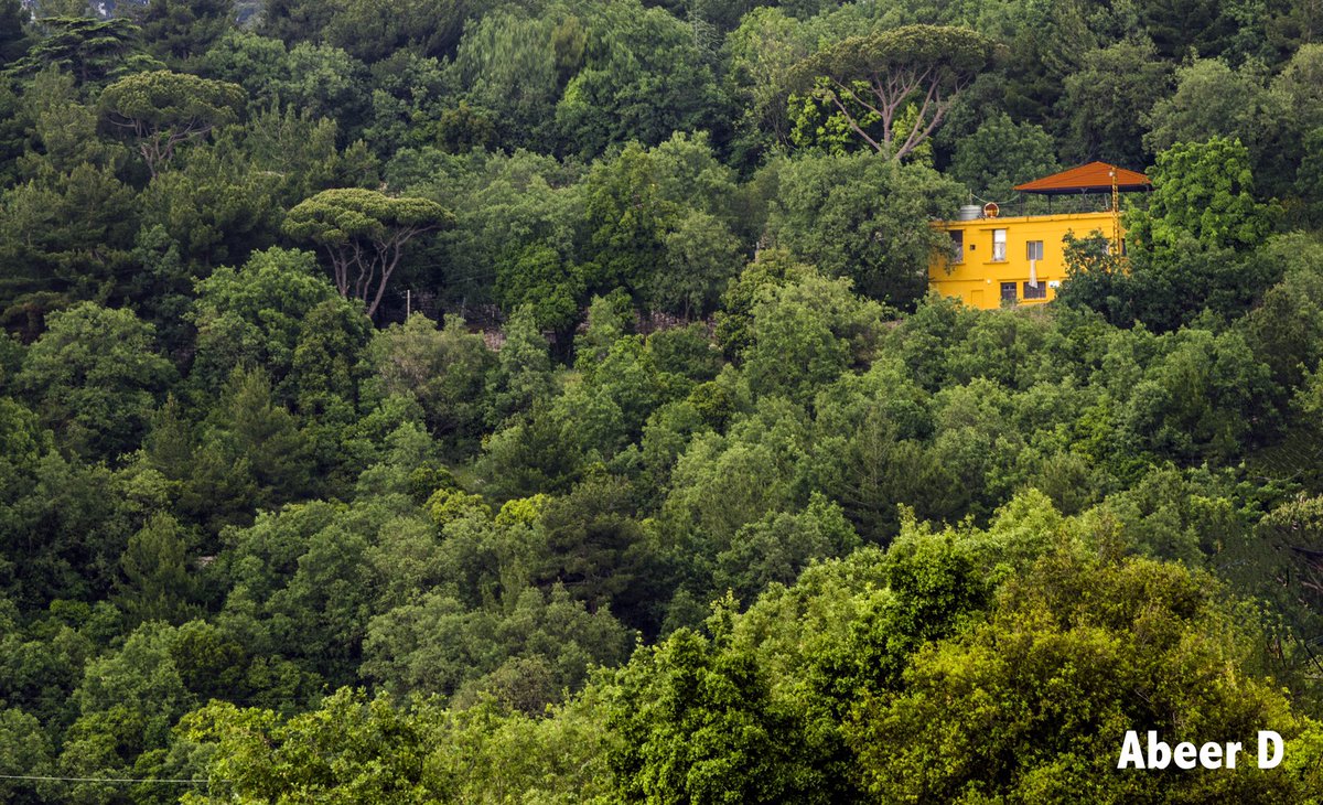 AbeerDarwiche's tweet photo. My house is between nature and heaven,in the valley and among the trees!
Abeer Darwiche Photos Nikon
#nature #houses #housesamongnature #village #mountains #vally #lebanonvally #lonelyhouses #natureandhouses #betweenskyandnature #bikfayia #livinghere #abeerdarwiche #Nikon https://t.co/FL9cFWYwf6