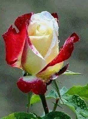 kebir18's tweet photo. @Kholoudss @MariaSharapova  https://t.co/mM1uo2iq5d