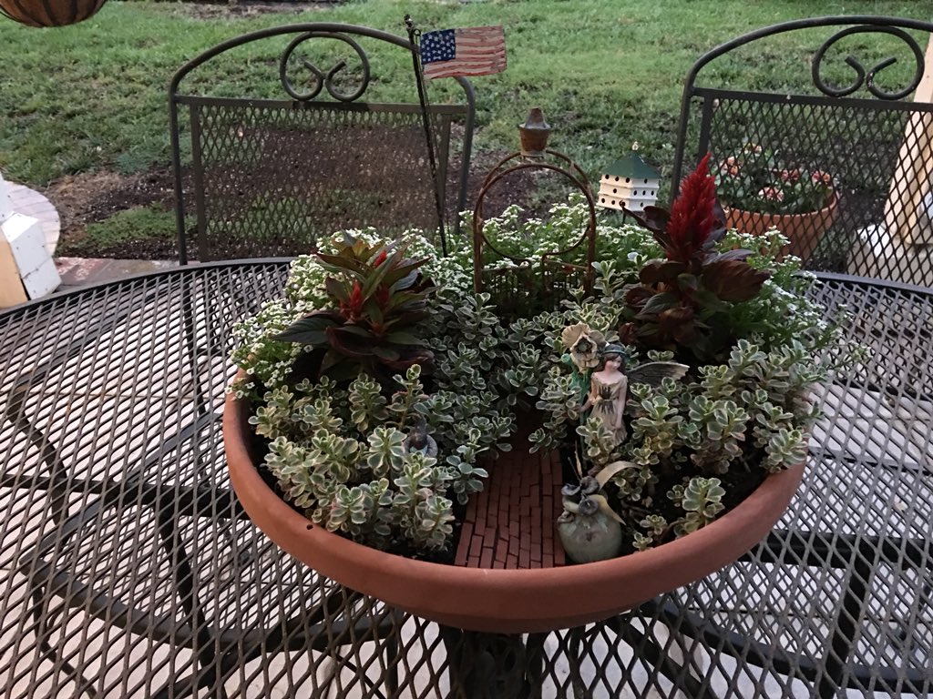 blee01's tweet image. For pure #relaxation - if I can’t have my feet in the sand, hands in the dirt is the next best thing. #gardening