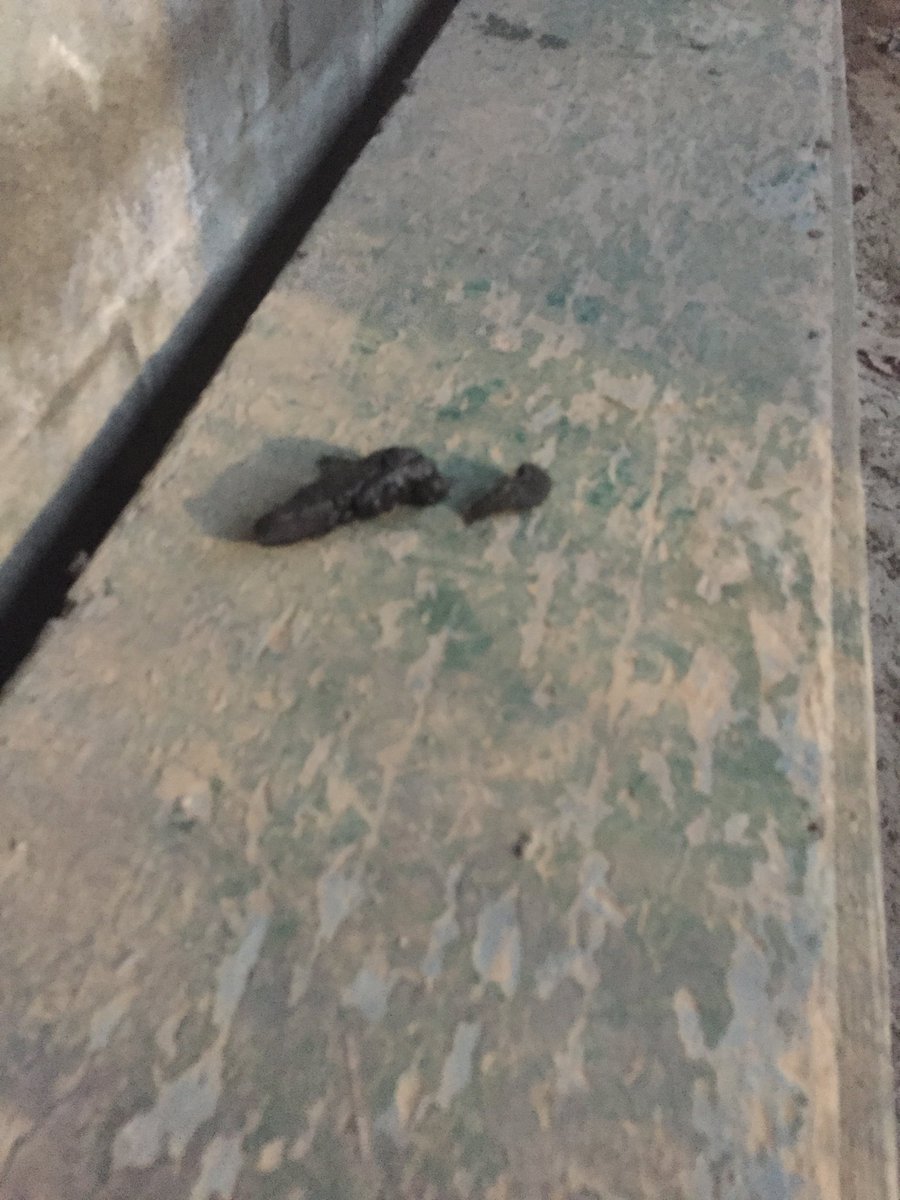 LivoniaBJs's tweet photo. A special shoutout to the human feces that was in our dugout for helping us with the big win on #CanadaNight #RallyPoop https://t.co/CGDdKNrv4B