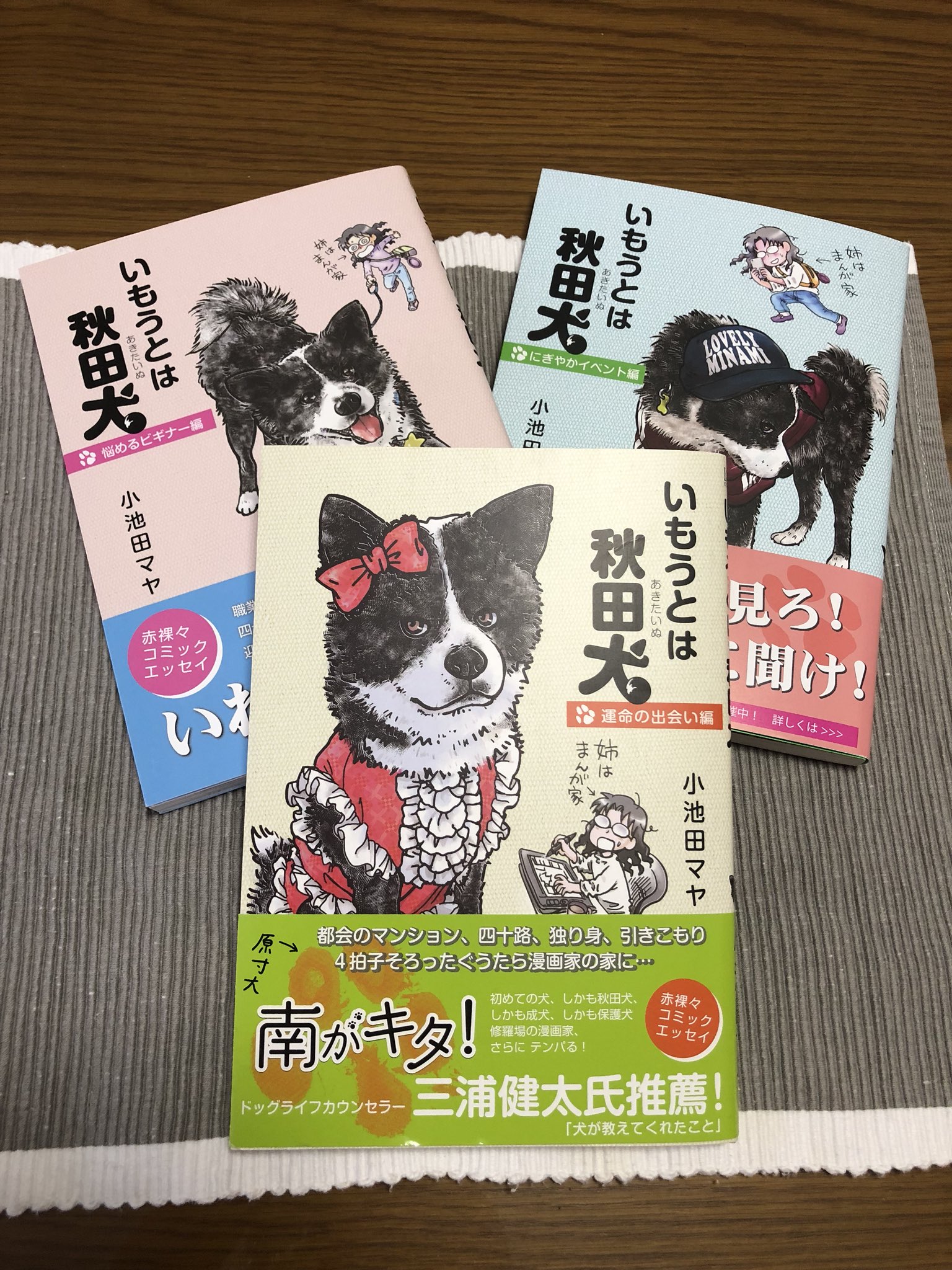 むう 先日ツイッターで拝見した いもうとは秋田犬 早速三冊まとめ買い めちゃくちゃ面白い 秋田犬 の行動が全く同じ 我が家もお散歩行くよーと言うとおもむろに水飲み出す 遺伝子に刻まれてるの いもうとは秋田犬 むう 先日ツイッターで拝見した いもうとは秋田犬 早速三冊まとめ買い めちゃくちゃ面白い 秋田犬 の行動が全く同じ 我が家もお散歩行くよーと言うとおもむろに水飲み出す 遺伝子に刻まれてるの いもうとは秋田犬