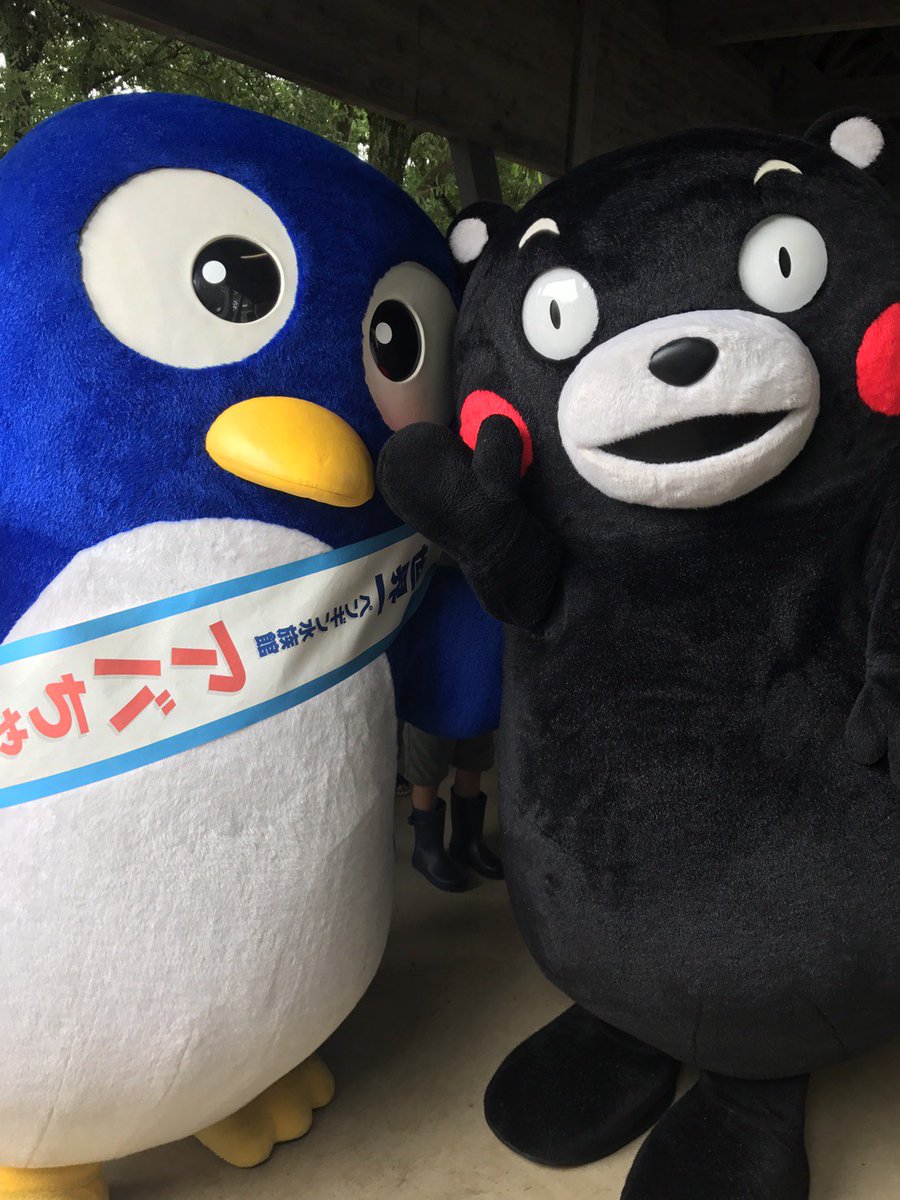 트위터의 長崎ペンギン水族館 公式 님 長崎ペンギン水族館のマスコットキャラクター アバちゃん と くまもん のツーショット 트위터의 長崎ペンギン水族館 公式 님 長崎ペンギン水族館のマスコットキャラクター アバちゃん と くまもん のツーショット