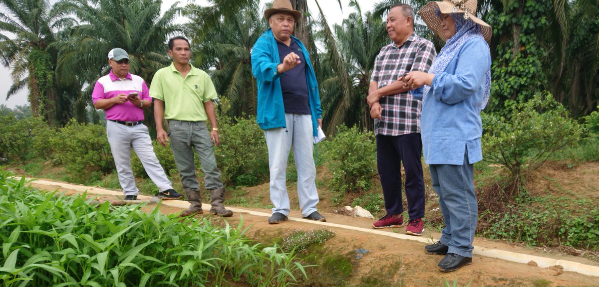 JHarizan's tweet photo. Pagi ni dr rumah terus ke ladang....
Melawat Projek Kelompok Bukit Damar, Sepang, Selangor.
Keluasan Projek 60ekar, diusahakan oleh 4 org usahawantani.

@HajiSalahuddin @msallehhuddin
@bad5277 @moaMalaysia
@myDOA_HQ @PertanianSepang
#ourfoodourfuture
#sayur https://t.co/eWVn1Kbhc2