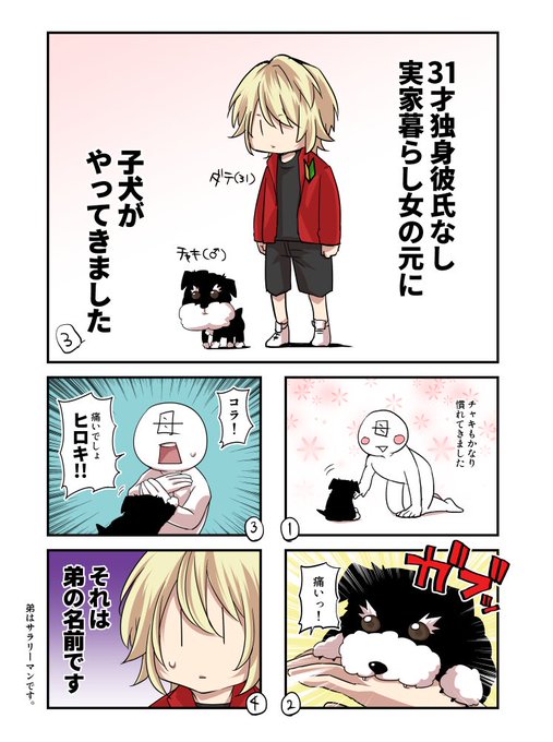 31才独身彼氏なし実家暮らし女の元に子犬がやってきました を含むマンガ一覧 ツイコミ 仮