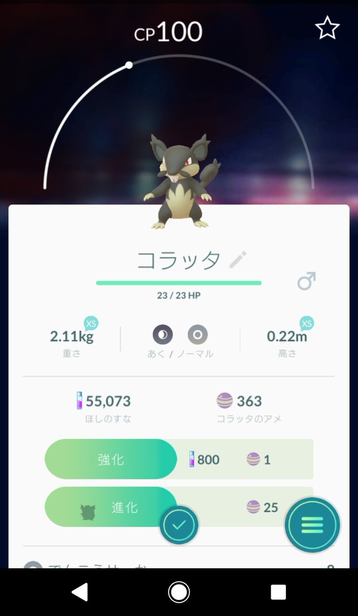 ポケモンgo速報 アローラコラッタが野生で出現中 他のアローラも出現する ポケモンgo攻略まとめ速報