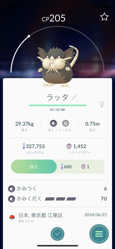 ポケモンgo アローラのラッタも進化により登場中 ちょっと栄養過多 ポケモンgo攻略まとめ速報