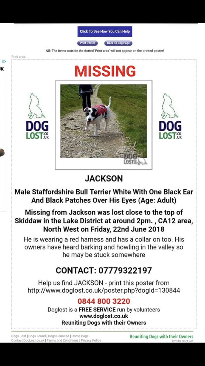 My friend’s dog Jackson has been lost yesterday and she is heartbroken. Please share and help spread the word