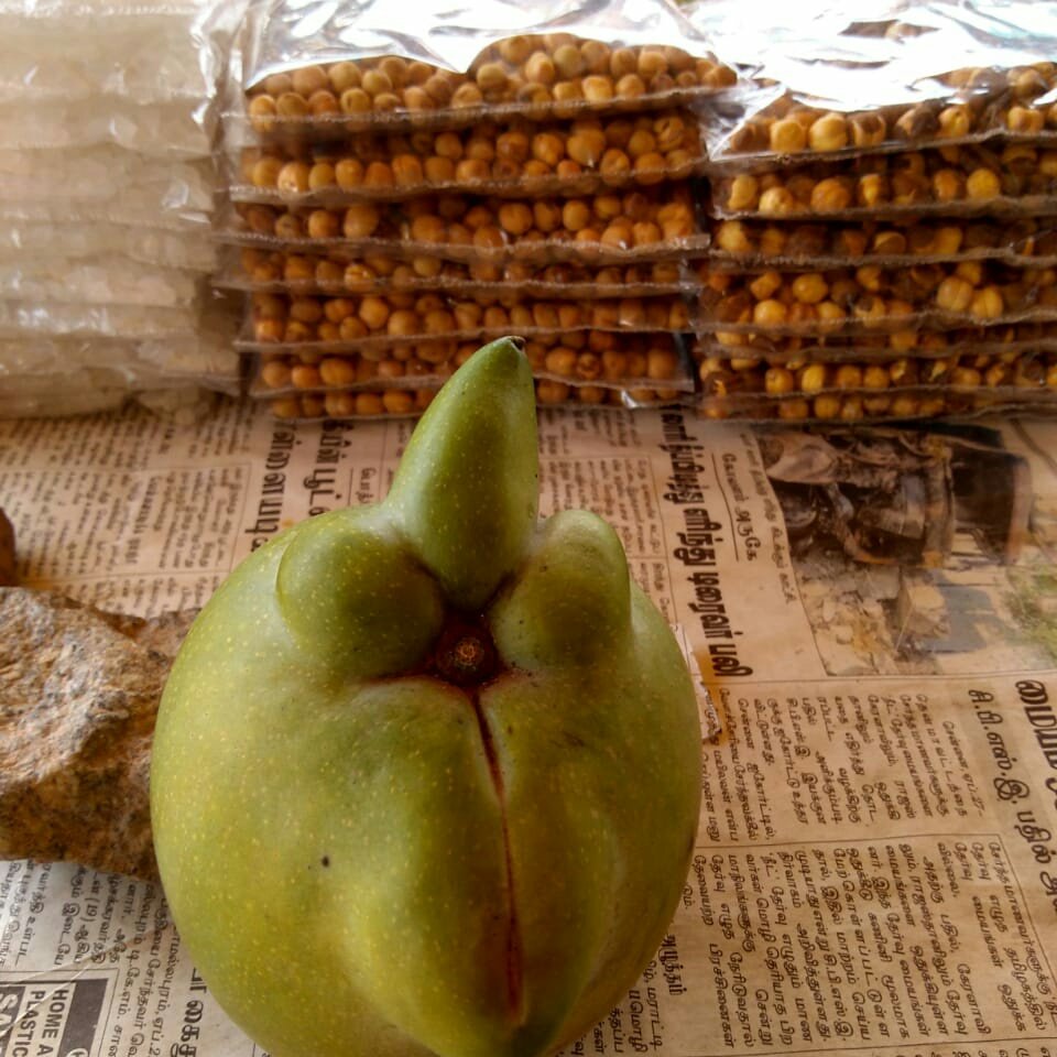 kumar_sun's tweet photo. @im_rohinii  https://t.co/ywcoBnsBRr