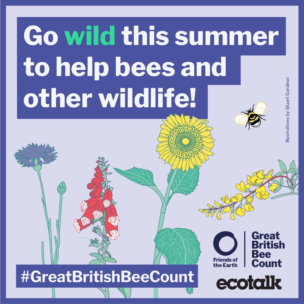 Team4Nature's tweet image. Can the GREAT BRITISH PUBLIC put 500,000 bees on the map by 30th June 2018 to HELP PROTECT them? 

Have free family fun taking part in the #GreatBritishBeeCount 
friendsoftheearth.uk/bee-count 
PLEASE RT for 🐝 🐝 🐝😊