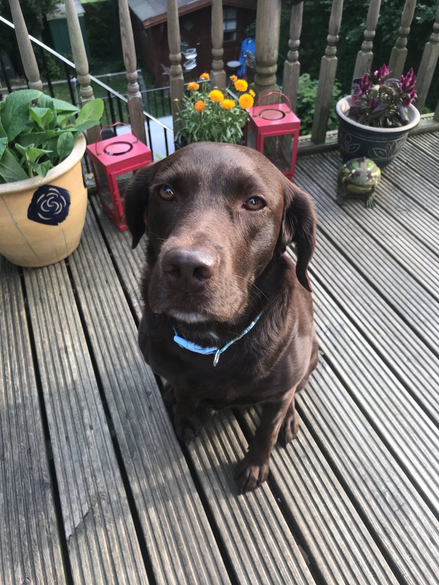 things_to_do's tweet photo. Things to do in Nottinghamshire this weekend.

Sitting in the sunshine is also an option. Enjoy :) 

https://t.co/enpxCZ4iVq https://t.co/DUMxoSP5CF