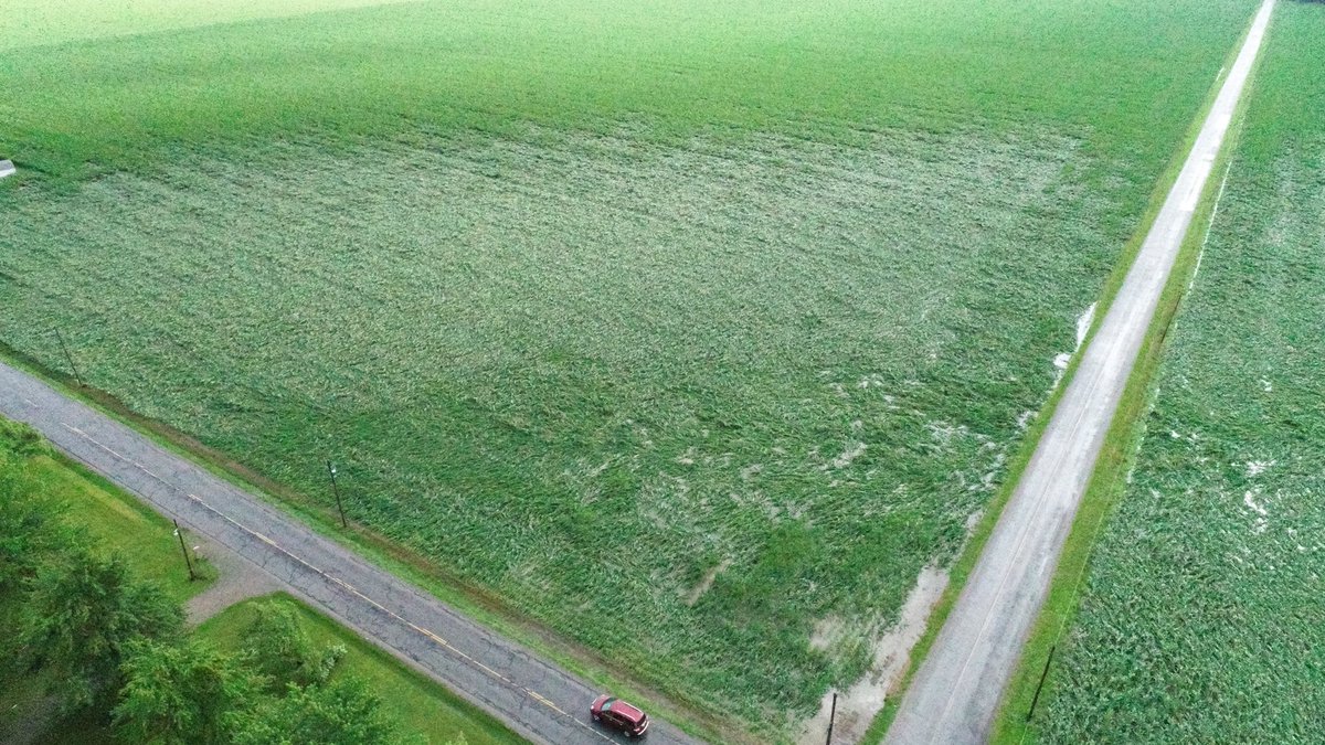 bprofit09's tweet photo. Had ourselves a damn tornader last night wrecked a lot of beautiful corn. #corn #tornadoally https://t.co/z5w1pSfZ26
