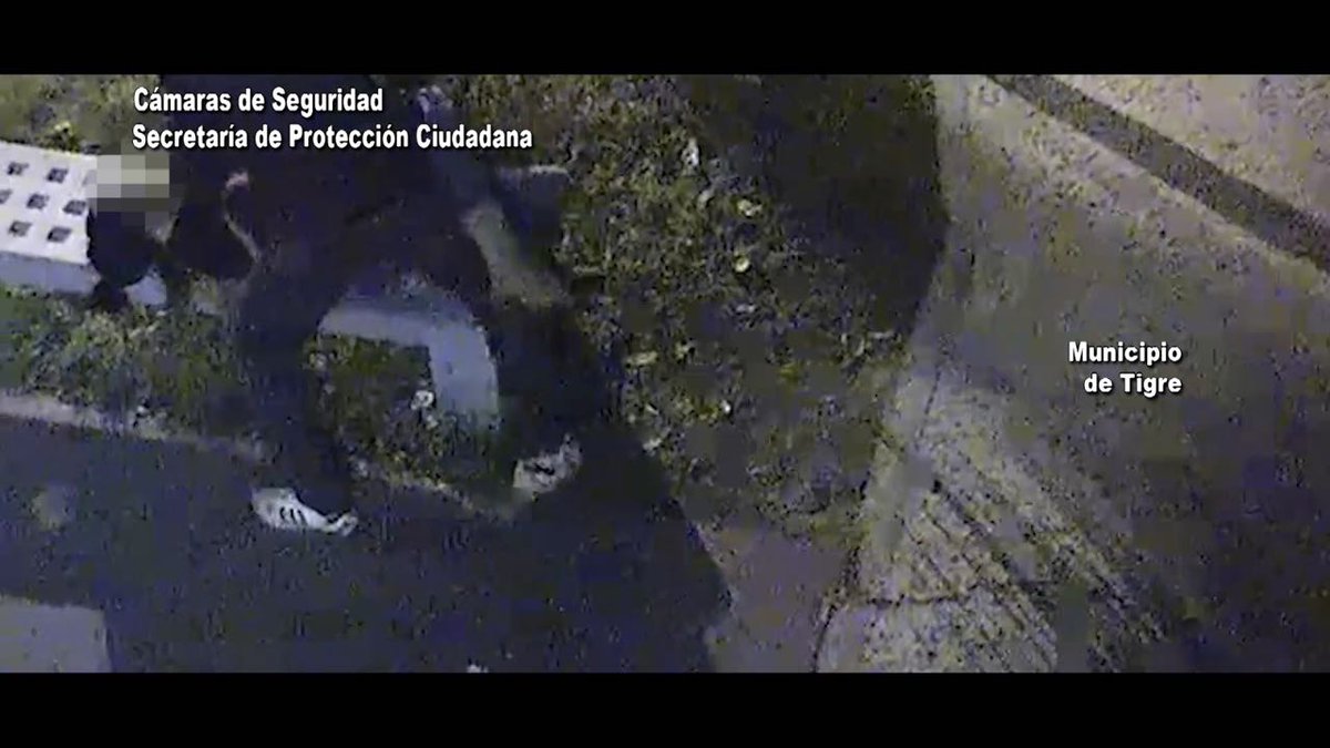 ZamoraOscar1's tweet photo. [NOTICIAS] Don Torcuato
Gracias Al Sistema De Video Vigilancia Del #COT Los
#OjosDeTigre Captaron El Momento En Que Un Malviviente Asalto Brutalmente A Una Mujer.
Rapidamente Fue Aprehendido y Puesto A Disposicion de La Justicia
MIRA👉https://t.co/otJBBDULRU👈
@MunicipioTigre https://t.co/TzmbXb7cDS
