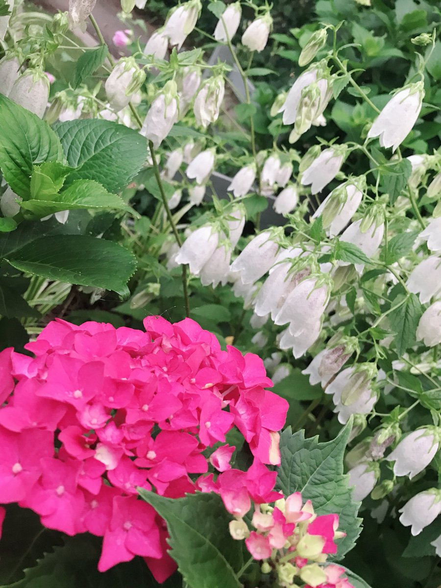 LAMFO70's tweet photo. 一眼レフ落ちてないかな https://t.co/M2BIF3eXaq