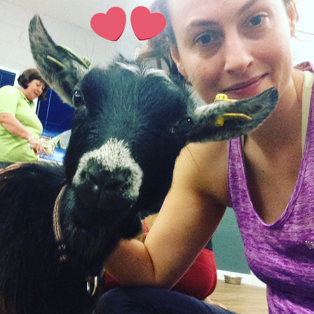 SunTrinket's tweet photo. Good little goga session this morning #goga #goatsandyoga #muckybucketfarm #bouldershack #goatzen https://t.co/zypWnJbJYZ