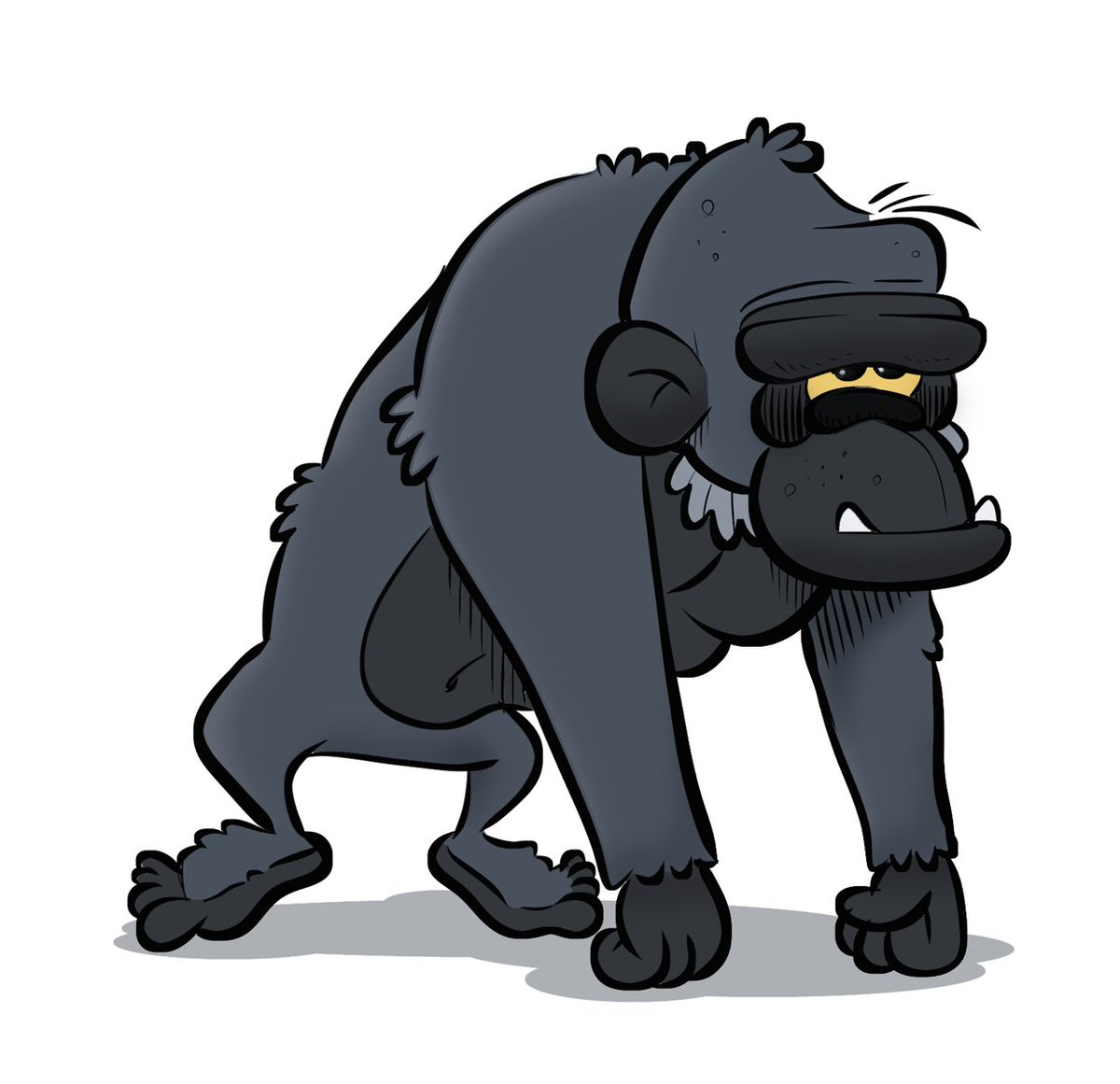 Rilla DK tweet media