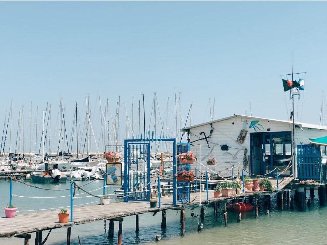 Siete mai stati a #civitanovamarche?
E magari siete a Rimini al #WMF18?
Allora vi aspettiamo al <a href="/BeachAndLoveIT/">Beach & Love</a>
Ci saremo anche noi, forse è piú interessante il #mare per convicervi a venire!😉

➡️beachandlove.it
#civitanovamarketing #destinazionemarche #WebMarketing
