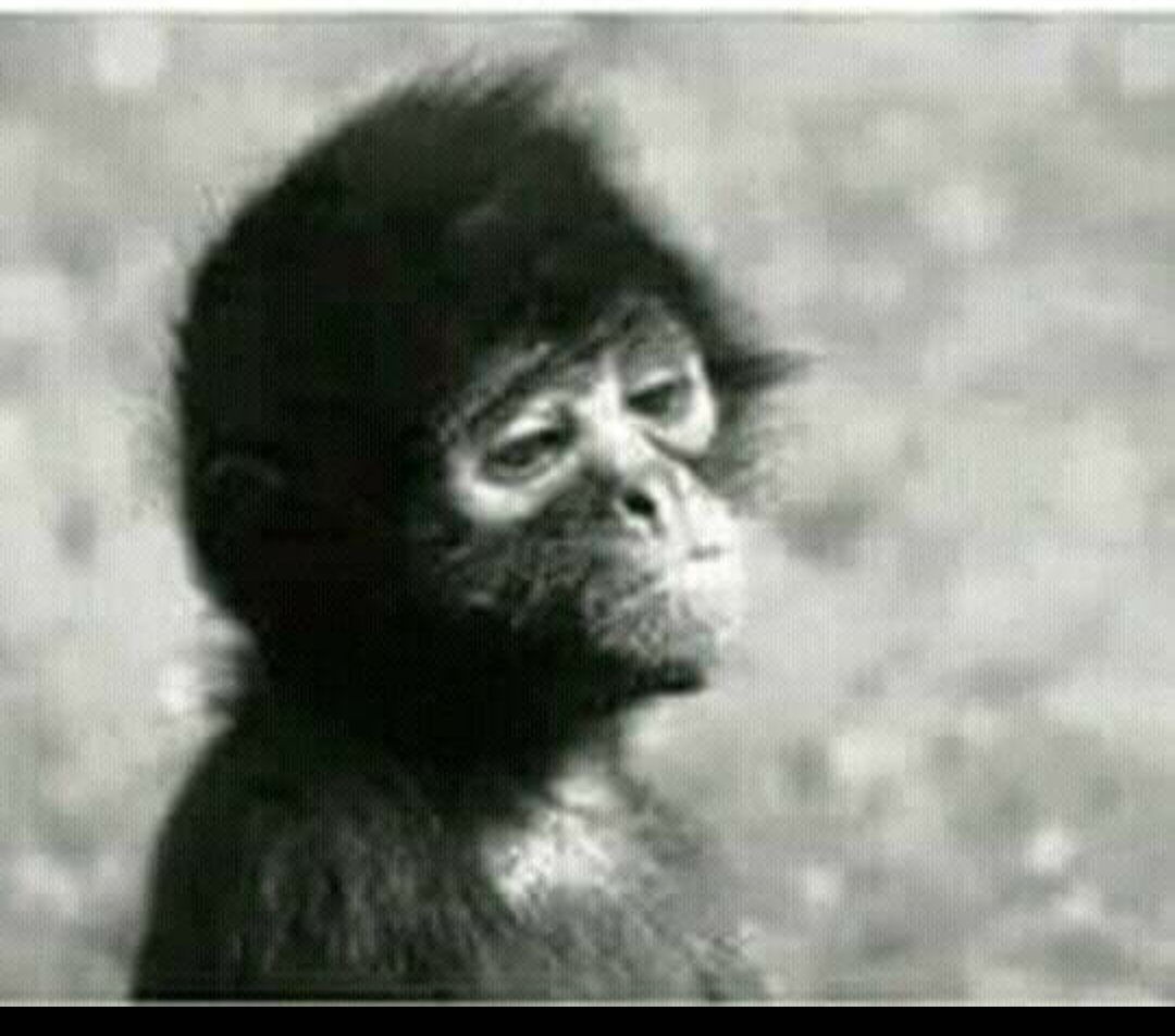 MichelleLebooa's tweet photo. When you don't listen to #TheWeekendWithThato @NEWVISIONRADIO1 

9:00 - 12:00 CAT

https://t.co/5rwQZ2xfzJ

WhatsApp - 078 017 5048
Facebook - New vision radio station https://t.co/HllWakTBm1
