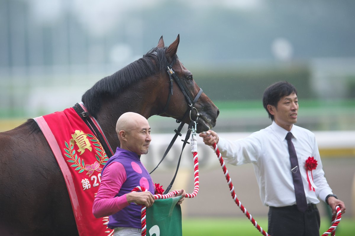 第20回東京ジャンプステークス(J・GIII)サーストンコラルドが勝利の波乱にまとめのカテゴリ一覧いろいろまとめbeansについて関連サイト一覧