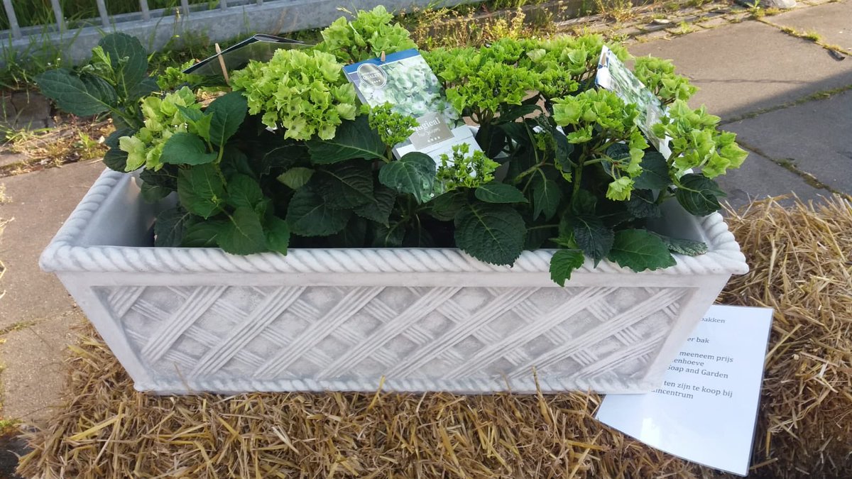 De laatsten mogen weg voor 25€