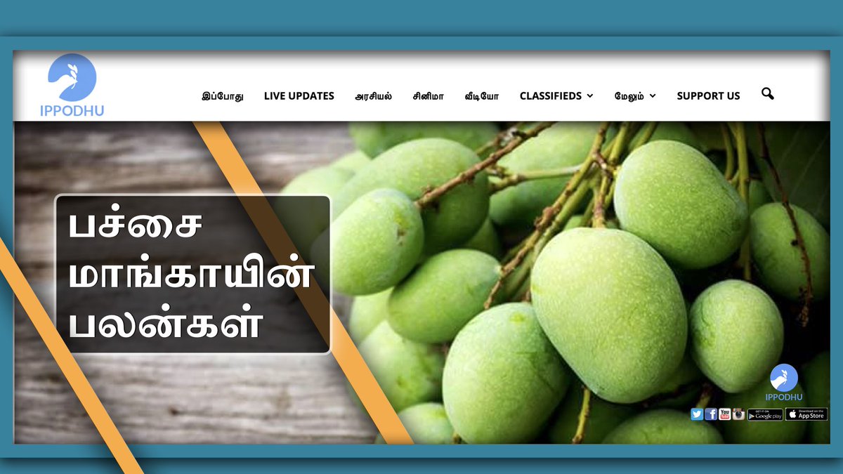 பச்சை மாங்காயின் பலன்கள்
👉: goo.gl/kFhkmE
#Mango, #MangoBenefits, #Health  #rawmango  x.com/ippodhu/status…