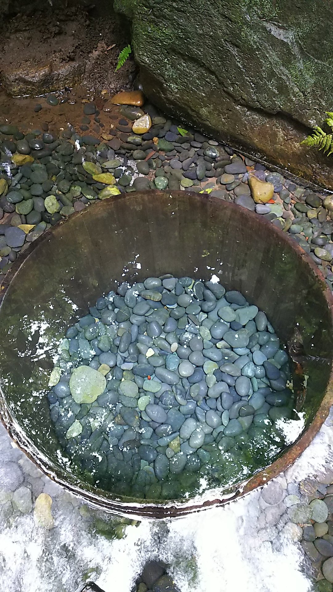 O Xrhsths いくの部屋 Sto Twitter 明治神宮御苑 清正井 水面が写し鏡のようにきれいでした 明治神宮 清正の井戸 清水 T Co Hhddh0tfyu Twitter