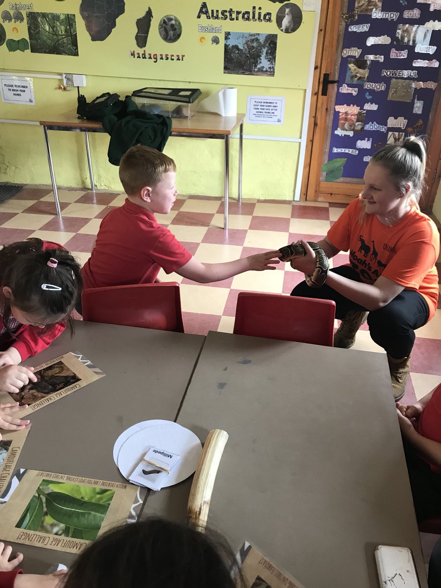 Miss Cecen tweet media