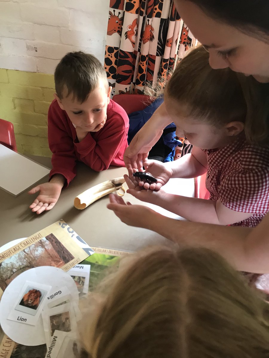 Miss Cecen tweet media