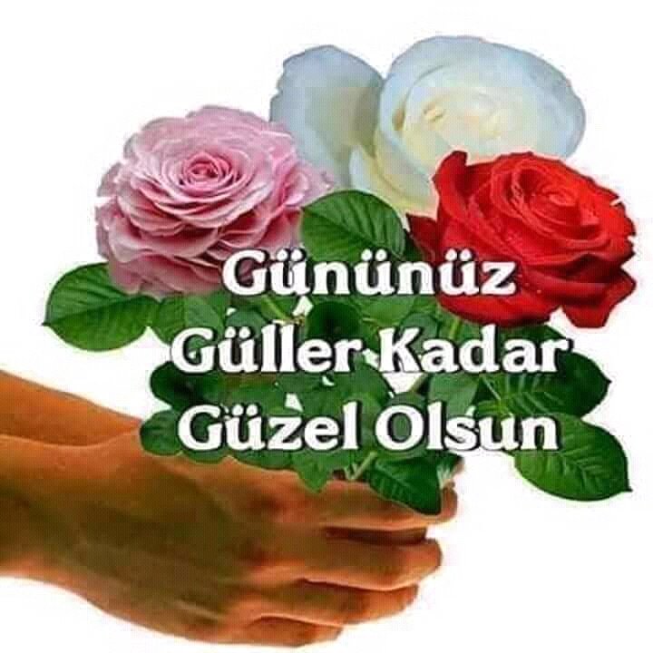 Recep Cayiroglu (@recepcayiroglu4) on Twitter photo 