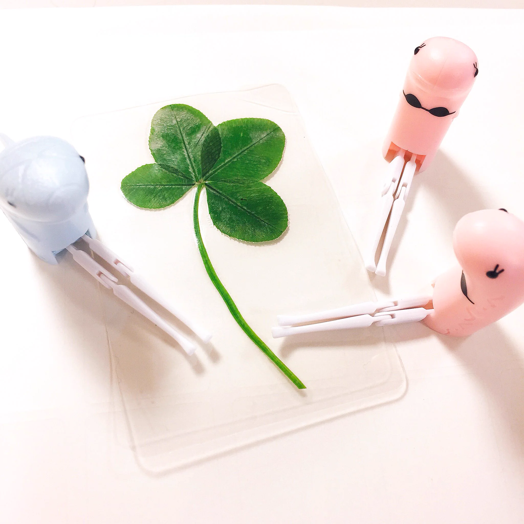 全く知らないおばちゃんに突然四葉のクローバーをもらったというほっこりする漫画