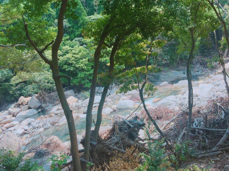 鹿児島盛り上げ隊 鹿児島の魅力を全国に発信したい 垂水市が誇る自然景観 猿ヶ城渓谷 に行きました 加工なしでこの美しさ 感動しました 近くにはキャンプ場があります お休みの日は垂水市 猿ヶ城渓谷 に観光 宿泊してみてはいかがですか