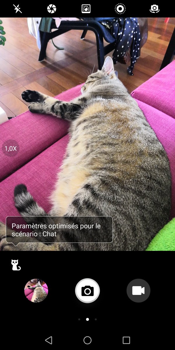 Nᴀʏraclette Faudra M Expliquer Comment Mon Telephone A Pu Detecter Un Chat Ici Alors Que C Est Clairement Un Boudin De Porte Nᴀʏraclette Faudra M Expliquer Comment Mon Telephone A Pu Detecter Un Chat Ici Alors Que C Est Clairement Un Boudin De Porte