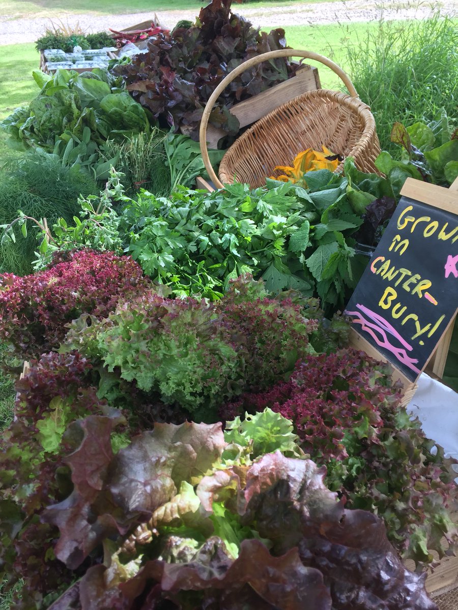 TheWonkyParsnip's tweet image. Find us and some honesty beautiful stalls @MidSummerTithe !!! Really worth a trip!!!