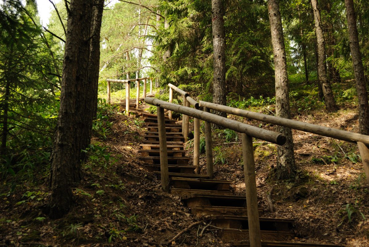There are many things to do and many places to visit in Belarus if you prefer nature and active holiday. We put them together in our Green Routes articles. Check it out and plan your trip to our picturesque country - hifivebelarus.com/green-routes/
#Belarus #ecotourism #greenroutes